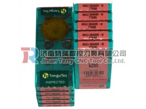 正品批发特固克刀片6NGU060404R-M TT8080铣削刀片
