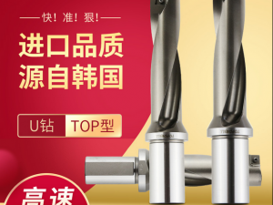 正宗特固克u钻刀杆TOP 2185-25T2-06济南哈量 特固克刀具代理